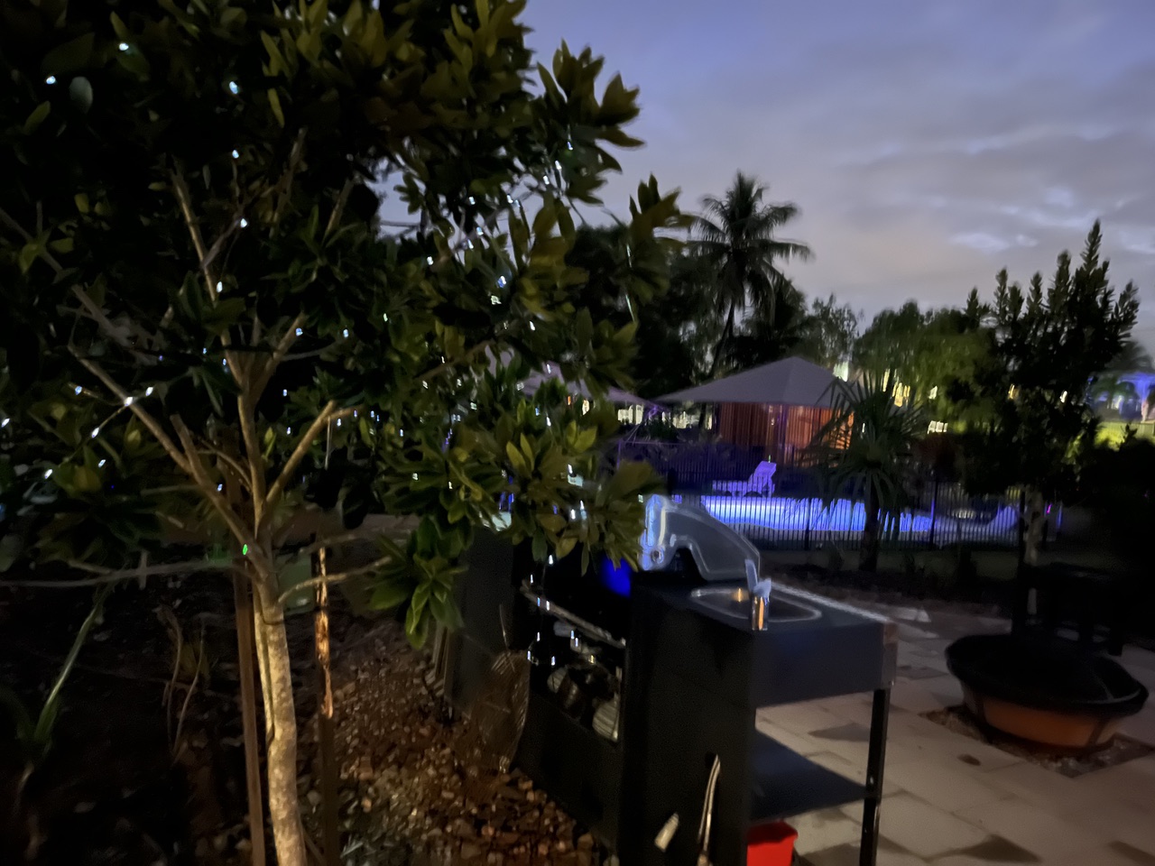 The guest BBQ area at dusk with the lit magnesium pool glowing beyond the tropical garden, Magnetic Glamping