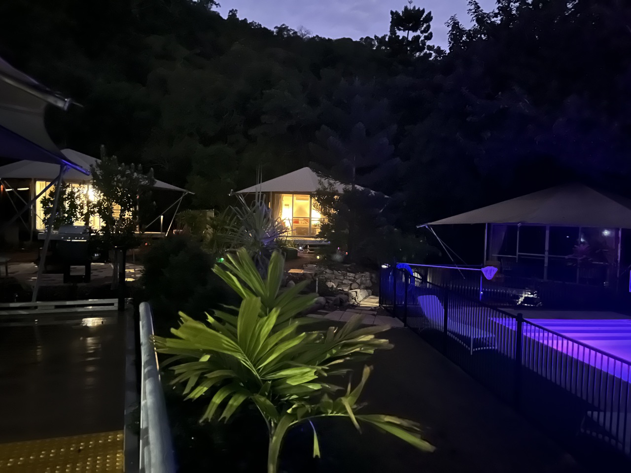 Magnetic Glamping at night: warmly lit safari tents, palms and the illuminated pool