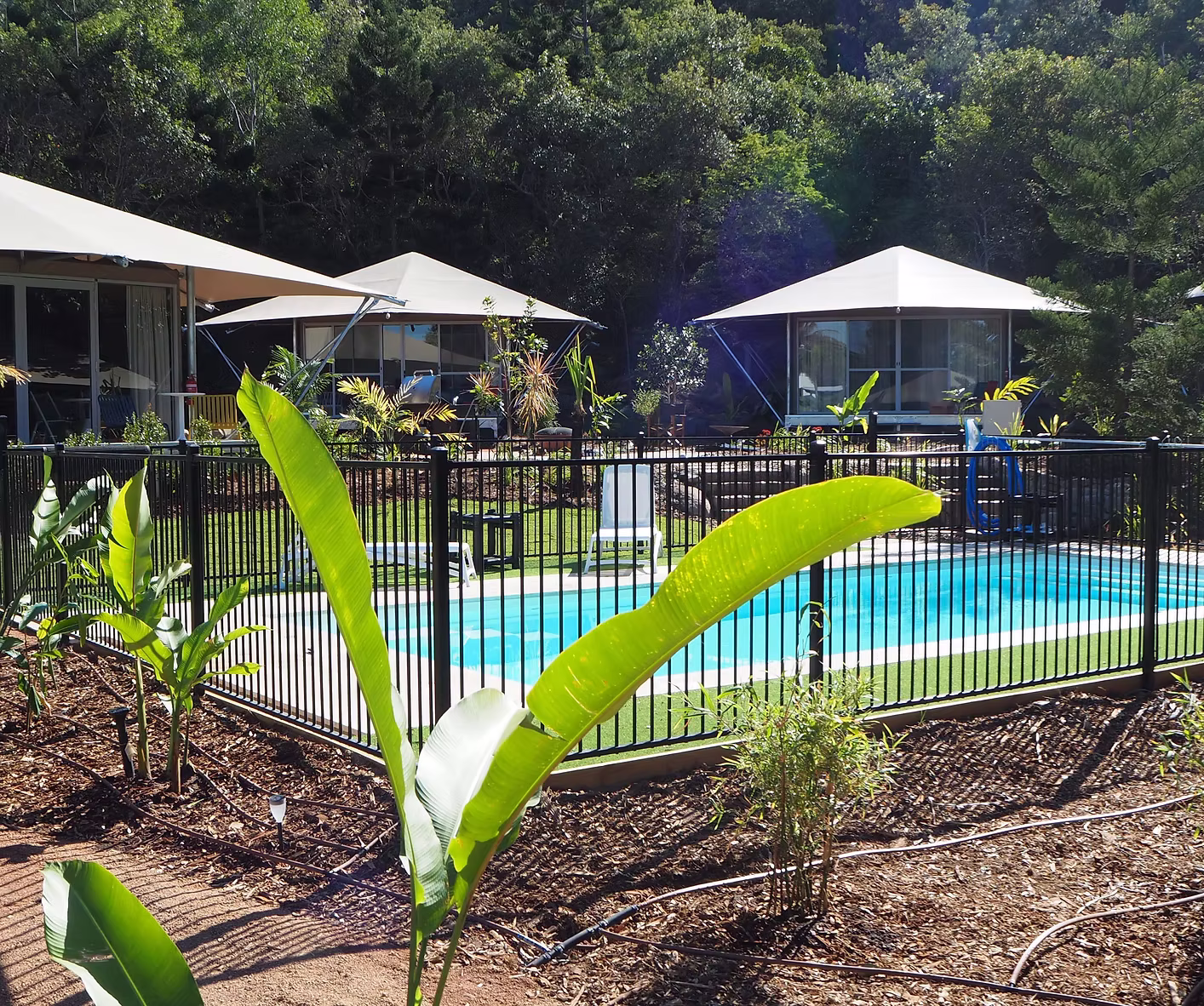 Tent 3 exterior and tropical garden surroundings at Magnetic Glamping